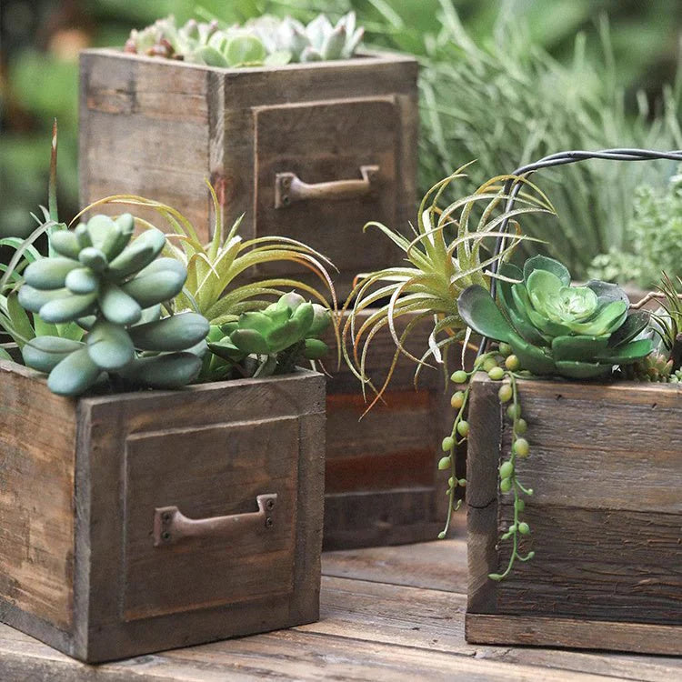 Planters & Pots