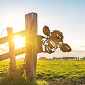 Peeping Cow Metal Garden Fence Decor