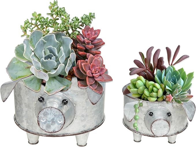 Galvanized Metal Pig Planter Set of 2