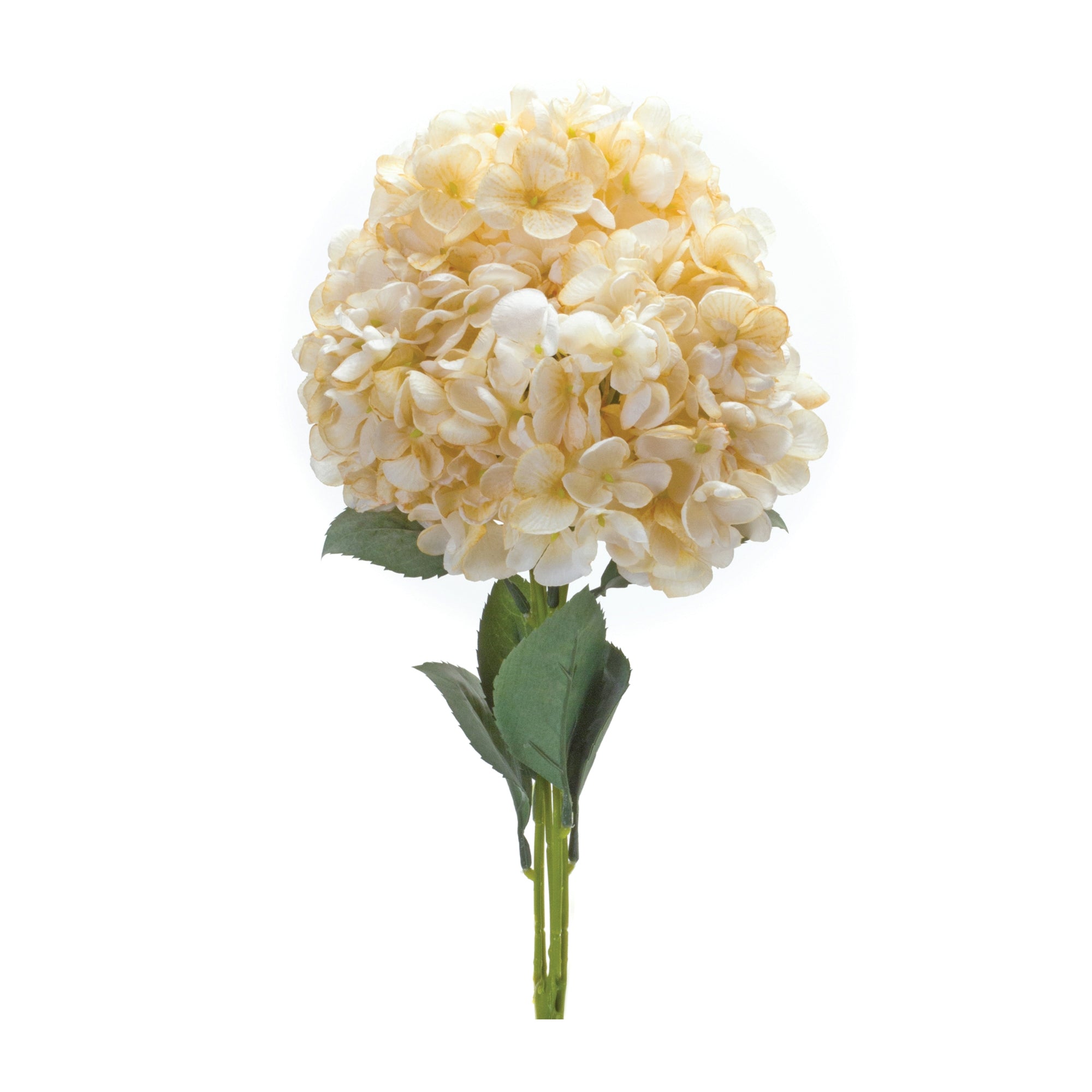 Set of 2 Charming Hydrangea Blooms