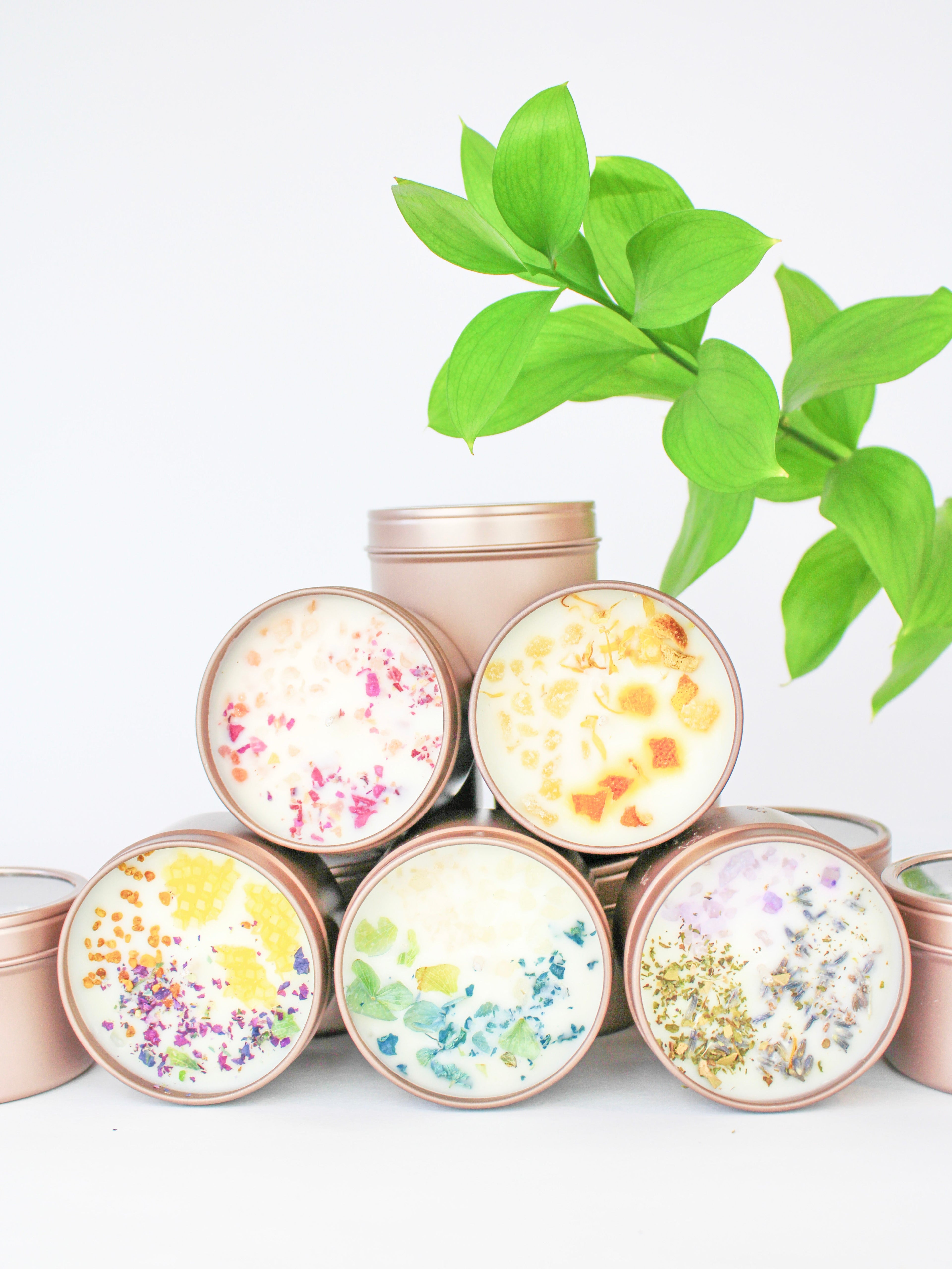 Unlabeled 4 oz Botanical Soy Wax Candles – Party Favors