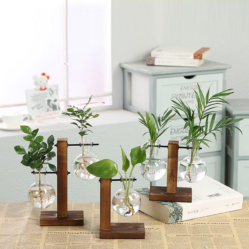 Glass Bulb Vase Propagation Station with Wooden Stand