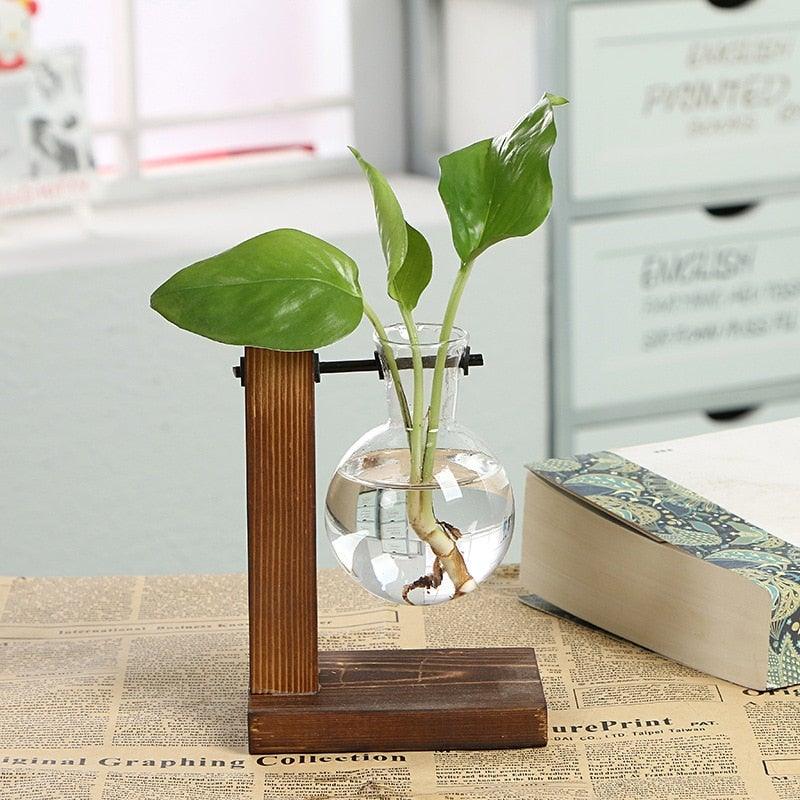 Glass Bulb Vase Propagation Station with Wooden Stand