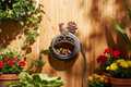 Rooster Cast Iron Hose Organizer Lifestyle