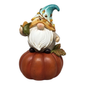 Fall Gnome Pumpkin