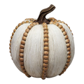Fall Textured Pumpkin